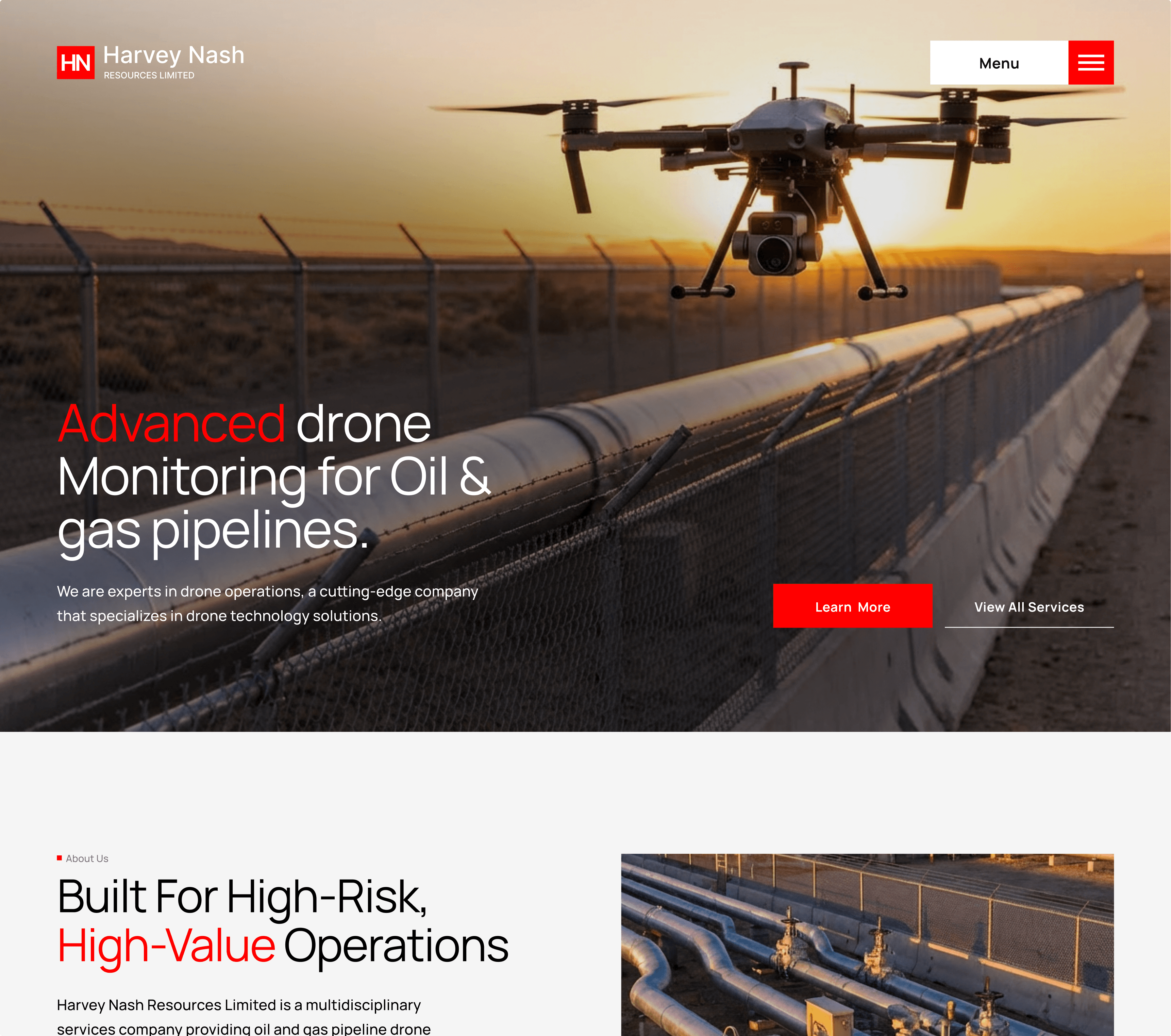 Harvey Nash screenshot